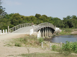 puente paso real